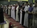 قارى زكريا مكاوى