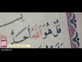 عمار ابو شادى