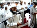 شيخ سعيد مسعد