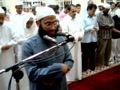 شيخ سعيد مسعد