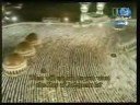 انفطار و مطففين