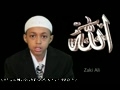 زكى على