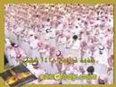 قسمتهايى از سوره روم