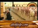 زلزال و قارعه