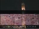 أنعام ۹۱ - ۹۹