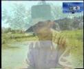 سوره نساء ۱۴۳ - ۱۴۷