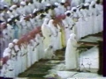 اواخر نمل