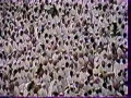 سوره أعلى