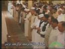 عنكبوت- محمد عالم دوكالي