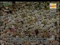 سوره فصلت آیه ۱۹- ۳۶