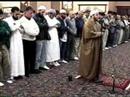 يونس 24 - 26
