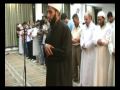 محمد هاشم عبدالعزيز
