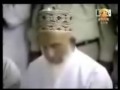 سوره فصلت آيه ۳۰ تا ۴۴