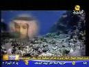 سوره رحمن 6/1