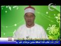 طه سيوطى