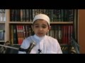 حماد امين