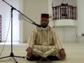 حسن حفيدى