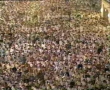 مسجد نبوى جزء عم ۱۵/۴