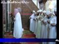 سعيد قلقيلى