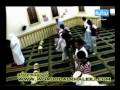 محمد مهدى شنقيطى