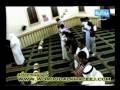 محمد مهدى شنقيطى - اواخر بقره