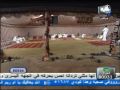 شيخ خطيرى