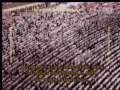 مصحف حرم مكى - سوره قصص ۳/۱