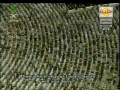 سوره رحمن آیه ۲۸- ۴۵