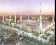 مصطفى صافى