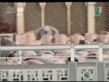تراويح ۱۳ رمضان ۱۴۳۱ شيخ جهنى ۲/۴