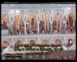تهجد ۲۹ رمضان ۱۴۳۱ه - شريم ۷/۲