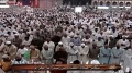 اواخر قصص و عنكبوت