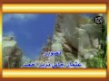 هانى بن عمر