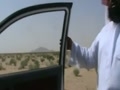 دحيم حماد كنار كوه تين