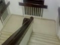 ابراهيم نقيب