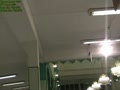 نماز وترعبدالرحمن عبدالكريم درآلمان