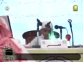 معاذ رمضان