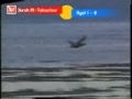 استاد اندونزى