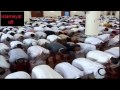 مسجد جابر على - الظفيرى ۲/۲ - ۶ رمضان