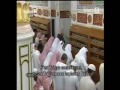 حرم مدنى - عماد حافظ ۳/۱