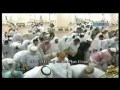 تراويح حرم مدنى ۴/۳ شب ۱۵